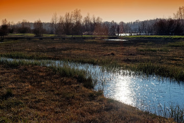 Episy swamp nature reserve in the french Gâtinais regional nature park