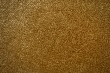 Fototapeta premium Leather texture. Golden background with vignetting.