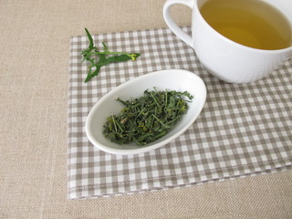 A cup of tea with dried hedge mustard