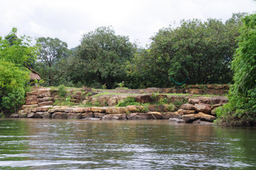 hammock by the water