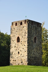 Fototapeta na wymiar hemsbach und Waldnerturm