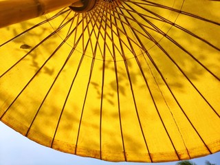 yellow umbrella on white background
