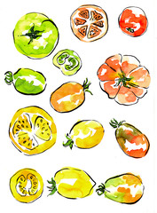 Watercolor illustration with red ripe hand drawn tomatoes. Sliced and not sliced. Kitchen tea towel design, cooking book.