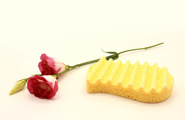 Bath sponge and Japanese rose on a white background