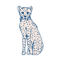 Cheetah baby vector illustration.Isolated sketch drawing of a wild leopard or jaguar in pantone classic blue and peach colors  on white background.