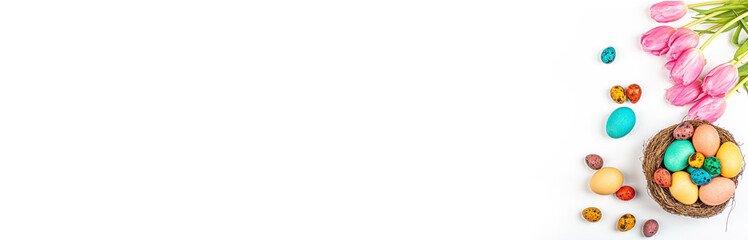 Stylish background with colorful quail, easter eggs with copy space for text. Next lying fresh pink tulip flowers. isolated on white background. Flat lay, top view, mockup, overhead, template