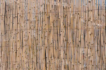Detail of fence from reeds in the garden.