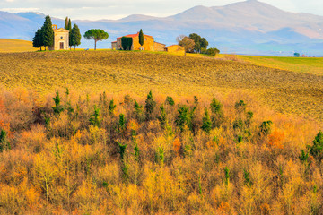 Tuscany, Crete Senesi rural sunset landscape. Countryside farm, cypresses trees, green field, sun...
