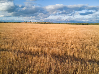 Flat agricultural landscape with forests  horizon 