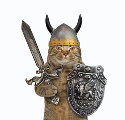 The cat viking in a helmet with horns is armed with a shield with a dragon and an inlaid sword....