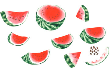 Watercolor watermelon on a white background drawn by hand. A set of different pieces of tropical fruit - half, quarter, slices, pits, peels. For stickers, patterns, design, collages, posters.