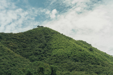 Green Moutain in thailand