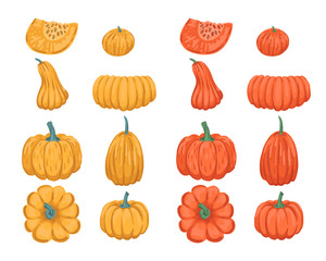 Set of pumpkins of different colors and sizes. Autumn design elements. Vector