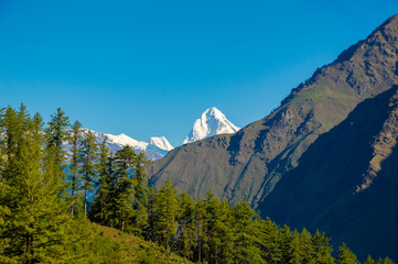 Neelkanth peak (elevation 6 500 meters) appear on the way to Bhavishya Badri in India