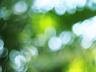 Green light bokeh nature background. Natural background. Abstract blurred background.