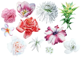Fotobehang Tropische Bladeren Set with watercolor flowers. Hand drawn.  © redneks
