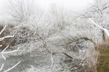  Frozen river, vegetation along the banks in hoarfrost