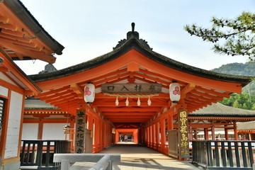 Fototapeta premium 厳島