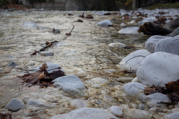 closeup autumn leaves at the river