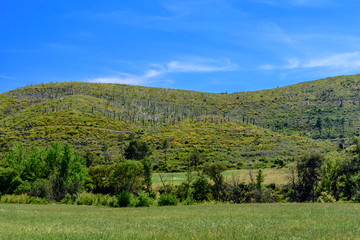 Fototapeta na wymiar Green hills in the summer sunlight.