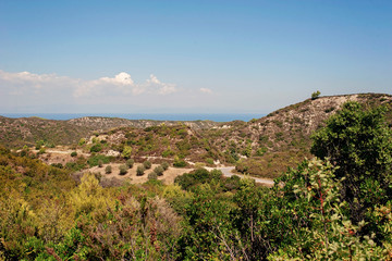 Obraz premium Mountains and olive trees in the Nothern Greece