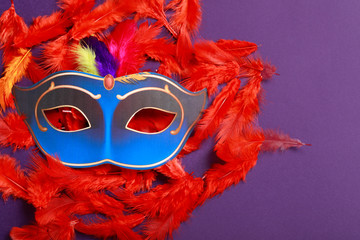 Concept of carnival festival, Carnival mask 