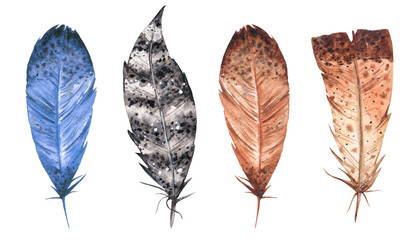 Watercolor set of feathers illustrations. Hand painted isolated elements.