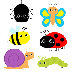 Insect set. Ladybug ladybird, green caterpillar, butterfly, spider, honey bee, snail. Cute cartoon kawaii baby animal character. Flat design. White background. Isolated.