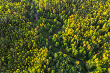 Little River In Forest At Sunset Time. Aerial view.