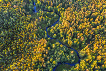 Aerial view of river and autumn forest