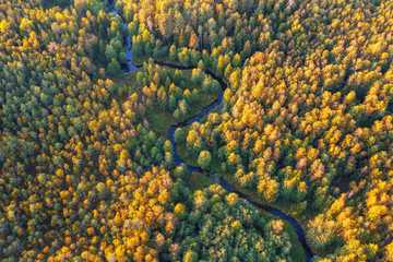 Aerial view of river and autumn forest