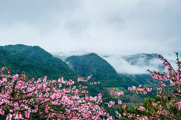 The mountain scenery in the mist in spring