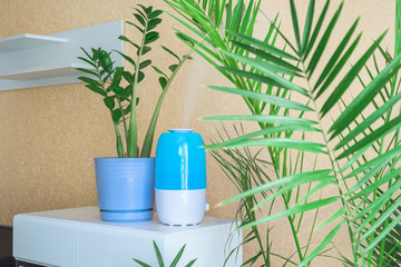 humidifier in the room to increase humidity and health of plants and people