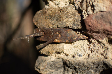 Old nails in a stone wall