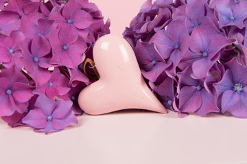 Pink heartssurrounded by purple blooming hortensia flowers on a soft pink pastel colored background with copy space