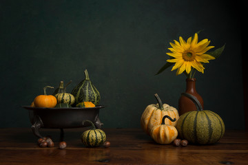 Still life with a sunflower, pumkins and a fruit bowl in a classical fine art image © Elles Rijsdijk