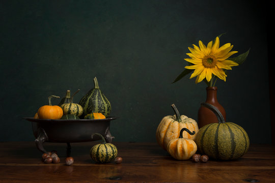 Still life with a sunflower, pumkins and a fruit bowl in a classical fine art image