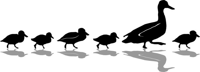 Duck Silhouette with Chicks Vector - 318542018