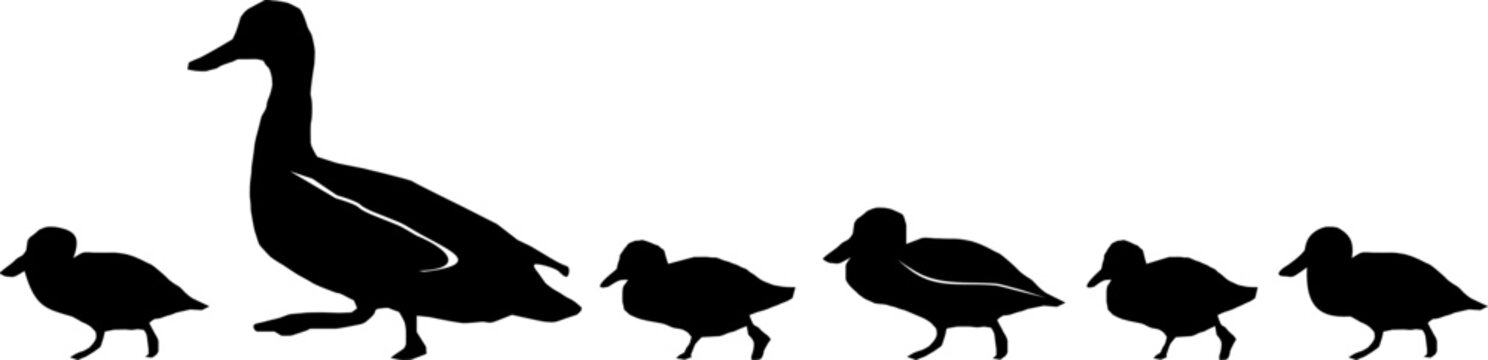 Duck Silhouette with Chicks Vector