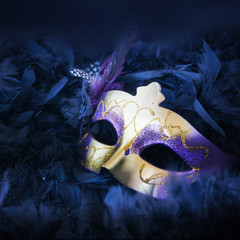 female carnival mask