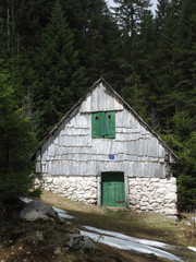 water mill in the forest
