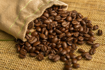 Close up of coffee beans, quality product and aroma