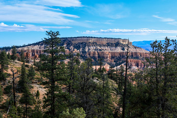Fototapeta na wymiar Panoramic View to the Nature of the Bryce Canyon National Park, USA
