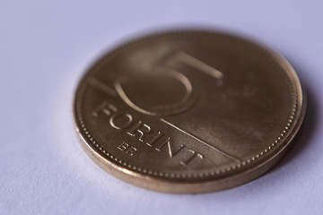 shiny hungarian forint coin macro 