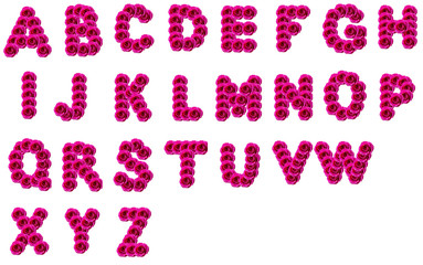 Flower alphabet – font from real alive roses on white background for design or typography print. Whole set of creative letters