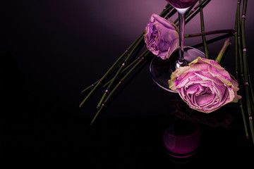 rose on a dark background next to a glass of wine, different colors