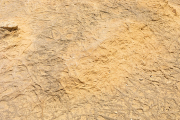 dry groun interesting texture and background. land after drought. desert