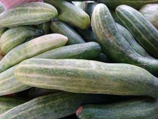 Cucumber in the traditional market