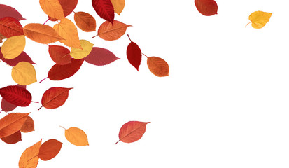 Autumn composition of stylized fall on white background. High detail. Can be used for wallpaper, pattern, art print, fabric etc.