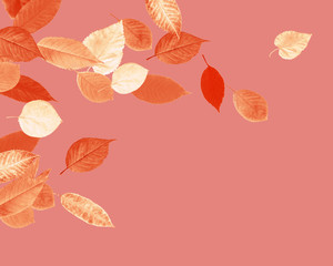  Coral pink background of autumn leaves. Border frame of stylized fall leaves. High detail. Can be used for  wallpaper, promo poster, pattern, print, fabric etc.